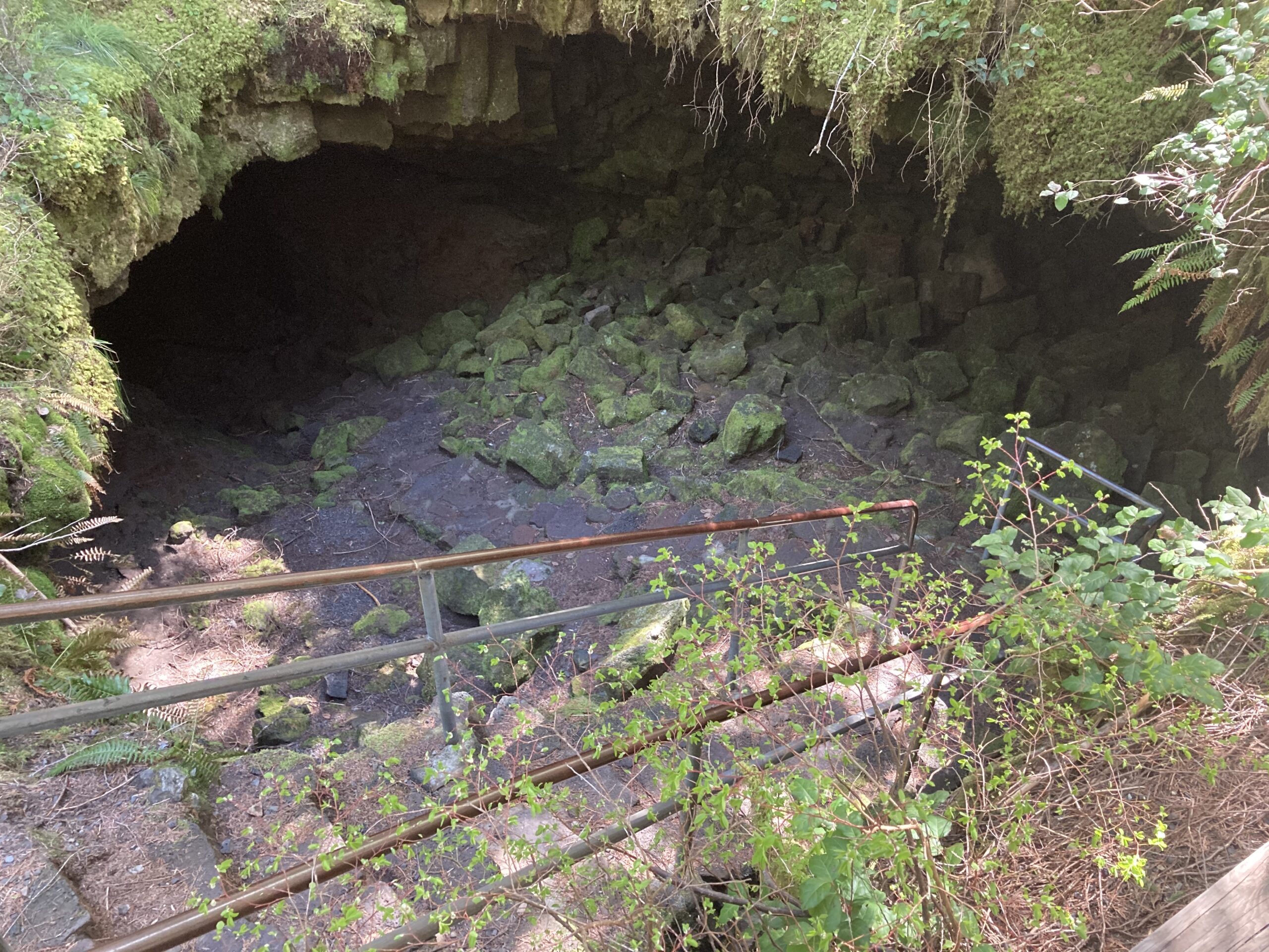 Ape Cave Entrance