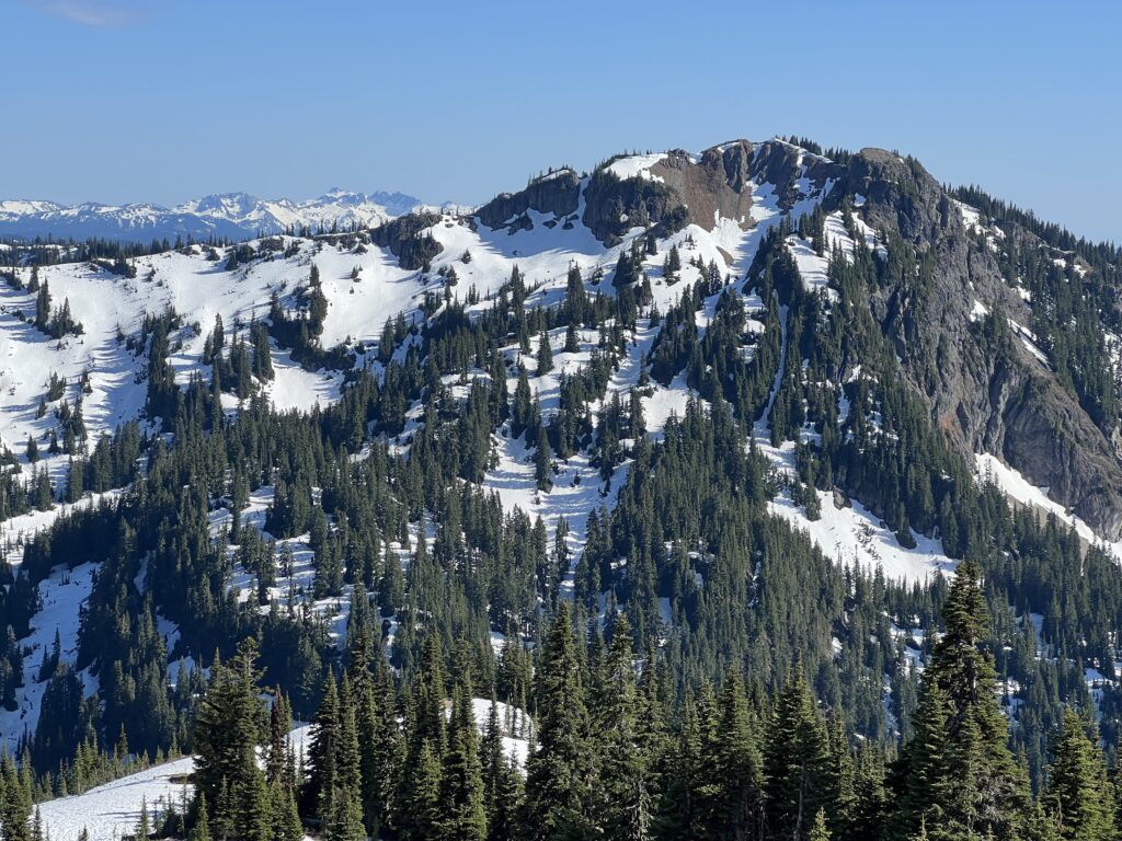 Seymour Peak (6337') from Naches Peak, Goat Rocks on the left skyline, 4 June 2023 by Daryl Greaser