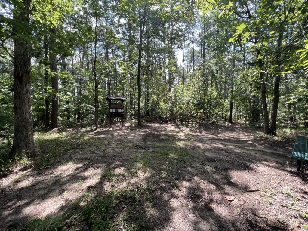 wide angle view of the summit of Driskill Mountain, Louisiana USA.