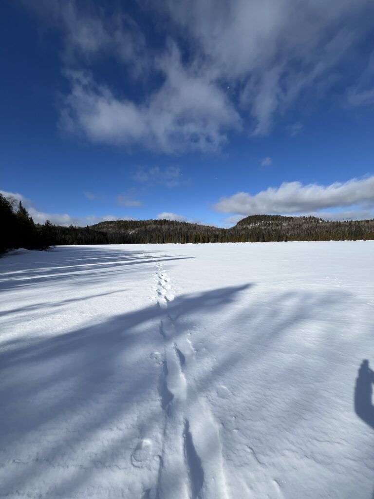 Eagle Mountain (2301', left) as seen from Whale Lake. The peak on the right is unnamed and is only ~2240'