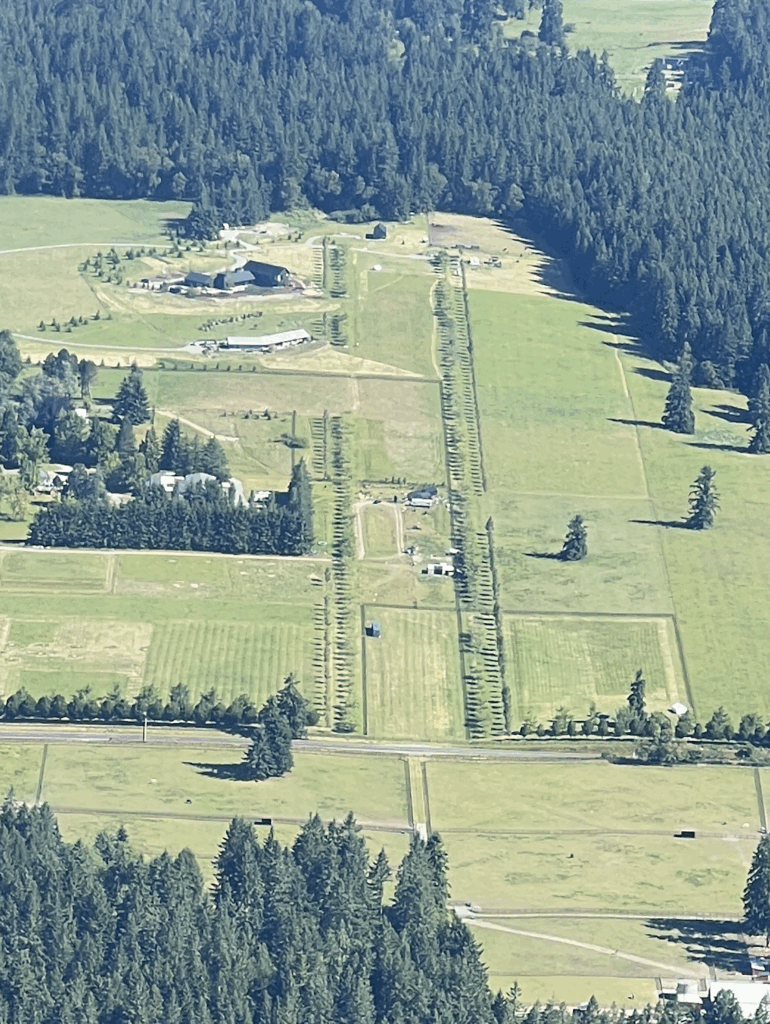 May 2025 aerial photo by me showing development and subdivisions of the former Wax Orchards Airport on Vashon Island, Washington. 