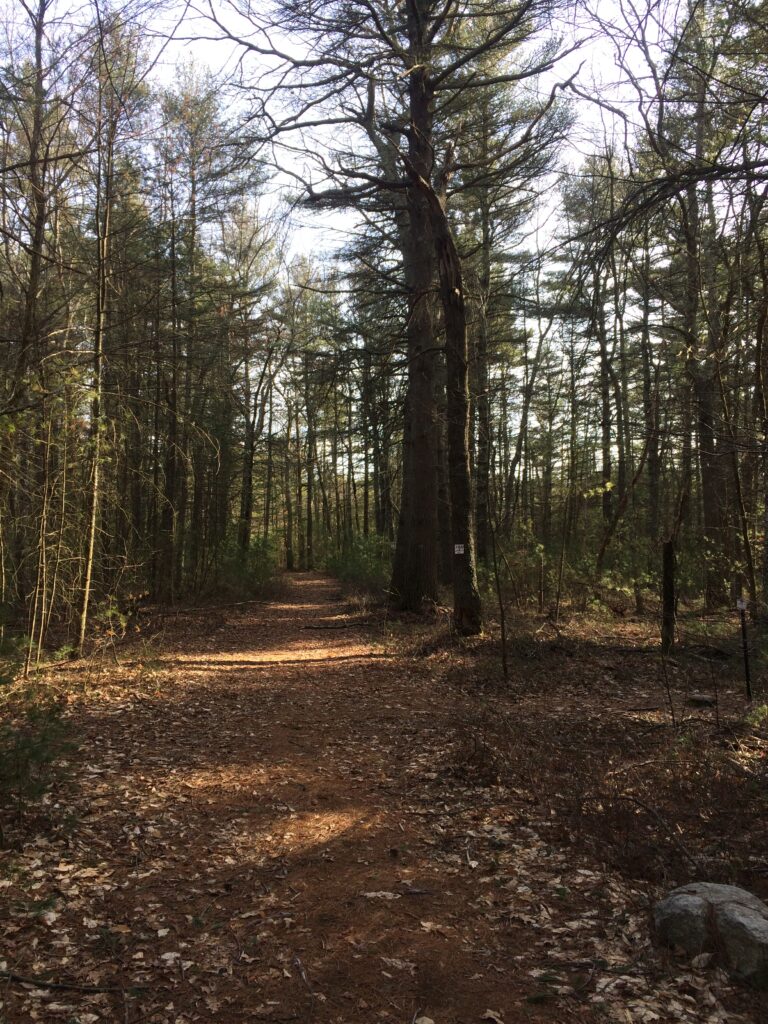 e easy walk from the highway to Jerimoth’s lofty Rhode Island summit. 